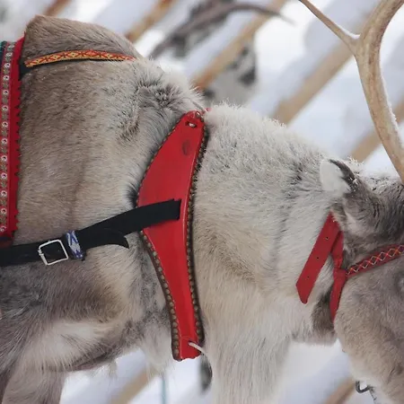 With Luxury Twist By Book Lapland Apartamento